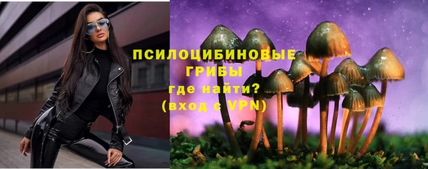 герыч Корсаков